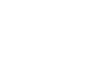 bridge-logo-white
